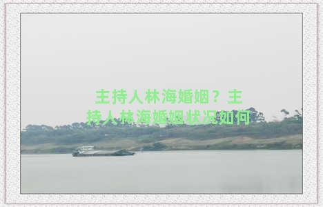 主持人林海婚姻？主持人林海婚姻状况如何