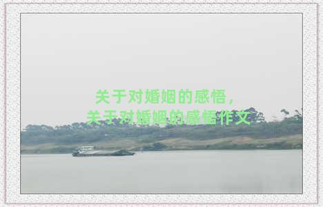 关于对婚姻的感悟，关于对婚姻的感悟作文