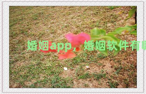 婚姻app，婚姻软件有哪些