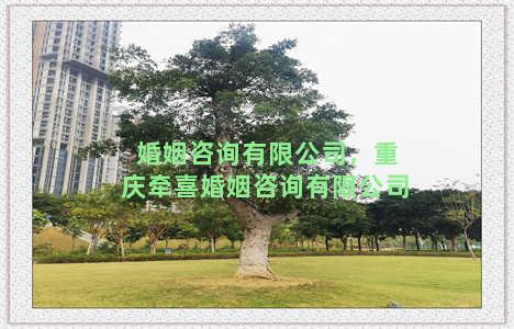 婚姻咨询有限公司，重庆牵喜婚姻咨询有限公司