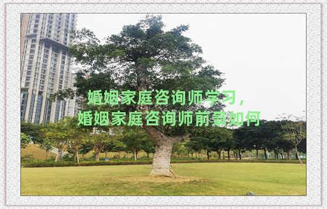 婚姻家庭咨询师学习，婚姻家庭咨询师前景如何