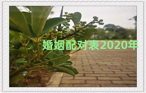 婚姻配对表2020年