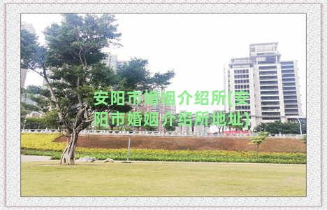 安阳市婚姻介绍所(安阳市婚姻介绍所地址)