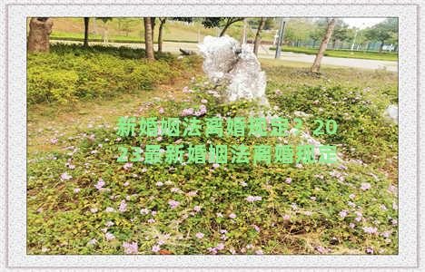 新婚姻法离婚规定？2023最新婚姻法离婚规定