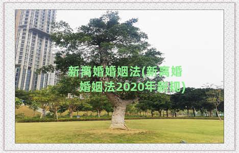 新离婚婚姻法(新离婚婚姻法2020年新规)