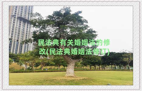 民法典有关婚姻法的修改(民法典婚姻法修订)